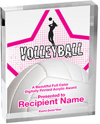 Volleyball Vibrix Acrylic Award [A34BV-VB]