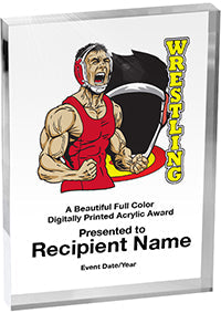 Wrestling Vibrix Acrylic Award [A57BV-WS]