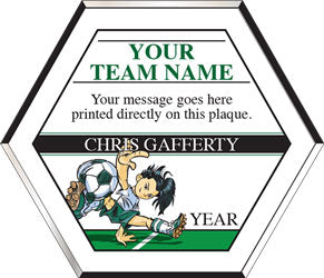 Color Hexagon Soccer Plaque [PHXSC6]