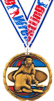 Wrestling Epoxy Color Medal - Gold [MEC2-WS-G]