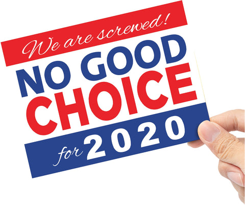 We're Screwed - No Good Choice Flag Vinyl Sticker - 6 x 4.5 inch [STK-POL-SCREW]