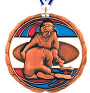 Wrestling Epoxy Color Medal - Bronze [MEC2-WS-B]