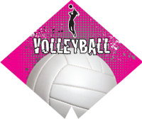 Volleyball- Female Diamond Insert [DI-1188]