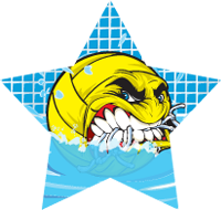 Water Polo- Krunch Star Insert [ST-1119]