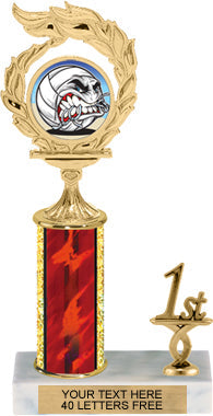 Wreath Framed Color Insert Trophy with 1 Trim [T1T10i-P30]